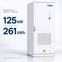 Batterie au lithium refroidie par liquide pour armoire de stockage d'énergie commerciale Power Bank Risen 125 kW 261 kWh