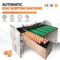 Automatische Eieren Sorteermachine 5000 stuks/uur Ei Gewichtssorteermachine Kip Eend Ei Sorteermachine voor Pluimveebedrijven
