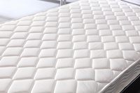 Matelas en mousse de tissu de polyester de taille unique de conception moderne 90*190 pour le massage à la maison de chambre d'hôtel d'école d'hôpital pour bébés enfants