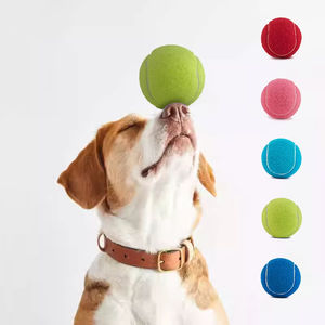 Grande balle de tennis pour chiens 9,5 pouces, balles de tennis géantes gonflables, jouet à mâcher pour animaux de compagnie, balle de tennis pour chien, grands jouets pour animaux de compagnie, sports de plein air amusants - Product Image 3