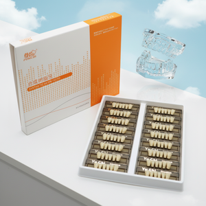 Dientes de Resina Acrílica Compuesta <span class=keywords><strong>Dental</strong></span> de Fábrica, Dientes Anteriores Inferiores 6*1/16, Dientes de Resina de Polímero Sintético para Prótesis Removibles - Product Image 5