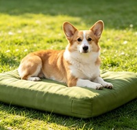 Wasserdichte Haustiermatte für Alle Jahreszeiten Kleine und Mittelgroße Hundebetten Bissresistente Anti-Biss Hundematten Grenzüberschreitende Haustiermatten