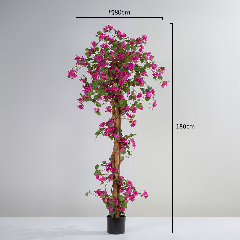 Desmontaje y montaje de buganvillas de tronco de árbol real 1,8 m