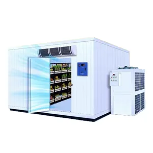 Мини-холодильник морозильник контейнерное оборудование Солнечный Холодильный компрессор 20 футов холодильная комната для хранения