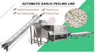 Chine Ligne de production de machine à éplucher l'ail à chaîne automatique industrielle 1 tonne/h