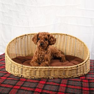<span class=keywords><strong>Panier</strong></span> de rangement pliable en plastique PP tressé, moderne, écologique, durable, imperméable, toutes saisons, <span class=keywords><strong>beige</strong></span> et marron, pour chiens - Vente en gros - Product Image 1