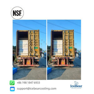 Panel de congelador estilo diseño industrial de oso de hielo Panel de pared Paneles de congelador para aplicaciones comerciales América - Product Image 6