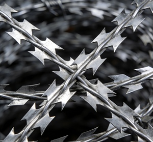 Alambre de Púas Galvanizado en Caliente de Alta Resistencia a la Corrosión BTO-22, Alambre de <span class=keywords><strong>Concertina</strong></span> para Cercas Perimetrales de Alta Seguridad - Product Image 3