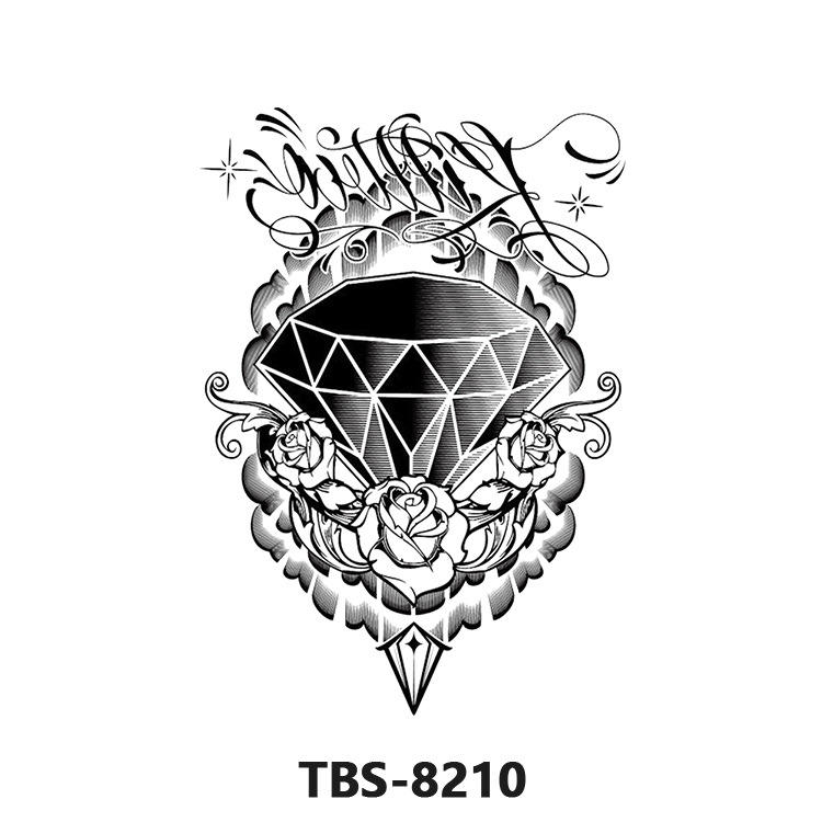 TBS8210