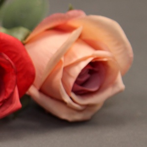 Prezzo economico all'ingrosso di alta qualità decorazione di cerimonia nuziale stelo singolo pesca rosa fiore di seta artificiale fiore rosa spinoso - Product Image 4