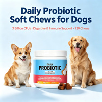 Probiotiques Quotidiens en Gros pour Chats et Chiens : Optimisez la Microbiome Intestinale – Probiotiques Vivants Haute Puissance Saveur Poulet et Enzymes