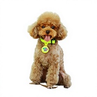 Lampe de marche nocturne pour chien Hot Seal, pendentif LED anti-perte, design pieuvre lumineux pour la nuit