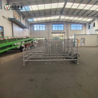 Enclos de gestation pour truies, fabricant direct, boxes de gestation pour porcs en acier galvanisé, équipement d'élevage porcin, vente en gros