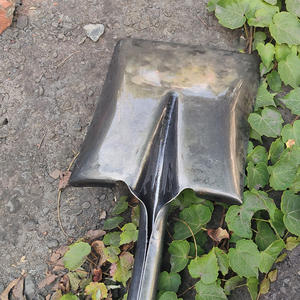 <span class=keywords><strong>พลั่ว</strong></span><span class=keywords><strong>ขุด</strong></span><span class=keywords><strong>ดิน</strong></span>ทำจากคาร์บอนเครื่องมือทำสวนด้วยมือ<span class=keywords><strong>พลั่ว</strong></span><span class=keywords><strong>ขุด</strong></span><span class=keywords><strong>ดิน</strong></span> - Product Image 6