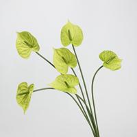 W-A0304 Vente en gros usine Fleur d'Anthurium artificielle en PU à toucher réel imprimée en 3D, plante en plastique pour décoration de mariage