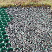 Grille en gazon pour le stationnement des voitures, la voie d'accès aux pompiers et le renforcement des allées, pavés en plastique HDPE perméables pour le renforcement du sol