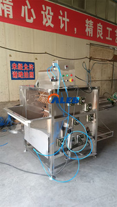 Nuevo desplumador automático de aves de corral, máquina de depilación de plumas, cerdo - Product Image 2