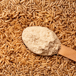 Protéine isolée de riz brun naturel, compléments nutritionnels végétaliens, poudre de boisson fonctionnelle, durée de conservation de 24 mois, FitTree - Product Image 1