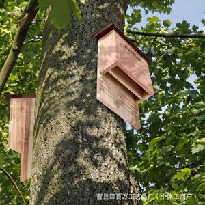 Nichoir en bois pour chauves-souris à fixer sur arbre, couleur bois naturel, nid extérieur pour chauves-souris, boîte de refuge en bois massif - Product Image 1