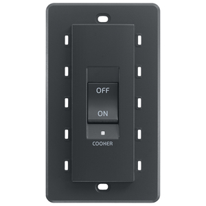Interrupteur de cuisinière 45A 2P gris pour pièces d'appareils de cuisine - Product Image 1