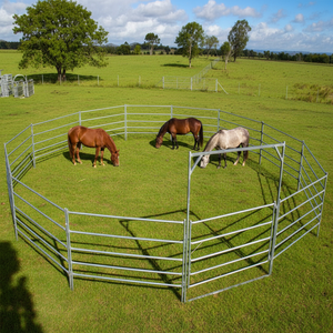 Corral Redondo de 13 Paneles + 1 Portón para Caballos de 9 m de Diámetro y 6 Pies de Alto, Paneles de Valla para Uso Ovino - Product Image 3