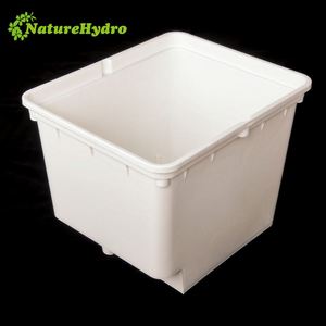 Invernadero comercial usado Cubos hidropónicos holandeses baratos Cubo de plástico Bato para la venta - Product Image 5