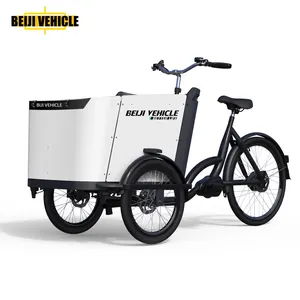 परिवार के उपयोग के लिए केबिन के साथ कार्गो tricycle 3 पहिया साइकिल बच्चों