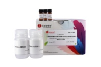 Kit de dosage de l'ammoniac sanguin Solarbio pour la recherche scientifique