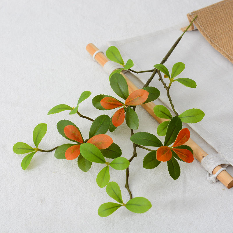 Fleurs printanières de l'île-rouge vert