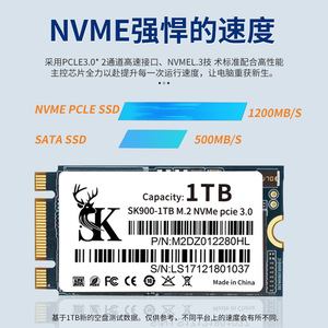 SK 1TB M.2 NVMe PCIe 3.0 SSD 2242 TLC Flash Architectuur Laptop Interne Opslag - Product Image 5