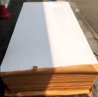 Feuille de plastique ABS thermoformée pour applications automobiles, intérieurs de véhicules, bagages, réfrigérateurs