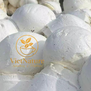 [Haute pureté] Caoutchouc industriel vietnamien non traité, résistant au vieillissement, en forme de bloc, pour la fabrication de bandes transporteuses et de tuyaux - Product Image 1