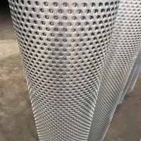 Lámina de Malla Metálica Galvanizada Perforada de Acero Inoxidable Anticorrosión, Procesamiento Personalizado Directo de Fábrica para Cercas