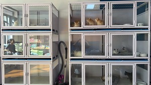 กรงสัตว์เลี้ยงขนาดใหญ่ PetFit พร้อมช่องเก็บของหลากหลายสำหรับแมว สุนัข สัตว์ขนาดเล็ก กรงโชว์ร้านขายสัตว์เลี้ยง กรงสัตว์สำหรับสัตวแพทย์ - Product Image 4