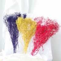 Fleurs séchées au toucher réel, Gypsophile, petit bouquet unique pour décoration intérieure, bouquet de mariée, Saint-Valentin, remise de diplôme, style INS