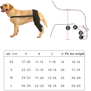 Envolturas de articulación de corvejón de apoyo trasero canino protege el soporte de pierna trasera para perros - Product Image 4