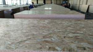 China No. Tablero <span class=keywords><strong>OSB</strong></span> de Fábrica 9MM 12MM 15MM 18MM, Aglomerado Económico Impermeable EPA E0, Panel <span class=keywords><strong>OSB</strong></span> de Grado Mueble, Tablero de Fibras Orientadas - Product Image 6