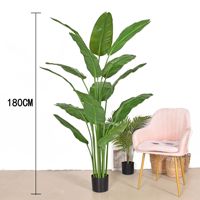 Ventas directas de fábrica simulación viajero plátano plantas verdes aterrizó plantas grandes pájaro del paraíso plantas en maceta