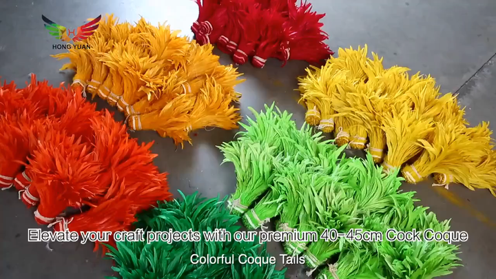 KOLIGHT Frangia Di Piume Di Gallo Naturali 5 Metri – Larghezza 10-15 Cm – Per Decorazioni Fai Da Te, Costumi, Artigianato