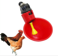 Mangeoire pour oiseau, 1 pièce, bol d'eau automatique, convient aux cailles, oiseaux, chasseur