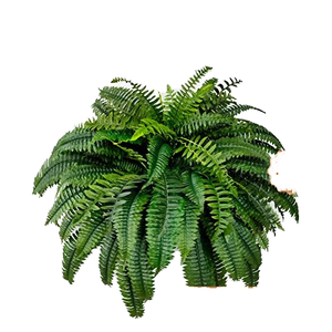 Feto di Boston Artificiale per Ufficio, Patio, Soggiorno, Portico, Finestra, Decorazione Rustica - Pianta Finta in Plastica - Product Image 2