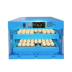 Incubatore automatico commerciale per uccelli grandi dimensioni 30 incubatore da cova di etiopia di polli in camerone