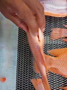 Peixe Tilápia Vermelho Inteiro Congelado - Product Image 2