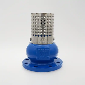 Vente directe usine PN16 DN150 DN125 DN100 DN80 DN65 DN50 Vanne de fond en fonte ductile GGG40 Vanne de fond avec filtre en acier inoxydable - Product Image 1