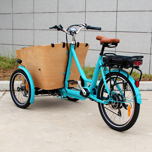 Dapu Federwiege Motor Lastenrad London Vélo-taxi électrique <span class=keywords><strong>à</strong></span> trois roues Tricycle électrique pour transporter des enfants et des marchandises - Product Image 2