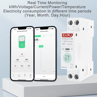 EARU ELE Tuya WiFi Smart MCB Timer 1P 63A Compteur de puissance, de tension et de courant, protecteur, interrupteur à commande vocale et à distance EAKCB-T-M-1-63