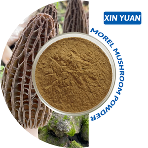 Extracto de Hongo Reishi Natural de Alta Calidad en Polvo Concentrado, Grado Alimenticio, Venta Caliente - Product Image 1