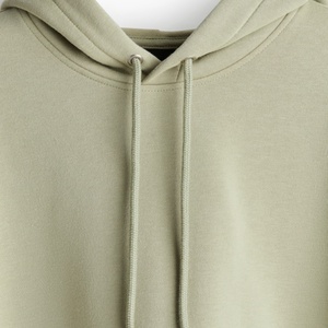 Sudadera con Capucha de Forro Polar de Peso Medio, Corte Regular, Manga Larga, Largo Regular, Color Verde Pistacho, Bordada para Hombre - Product Image 3