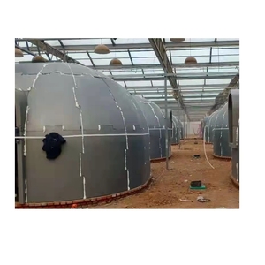 Venta al por Mayor de Fábrica, Módulo de Espuma de Grafeno Villa Brazil Capri para Construcción 2023, 200 Piezas Corona, 100 Piezas <span class=keywords><strong>Del</strong></span> <span class=keywords><strong>Palmar</strong></span> Cabo House - Product Image 1