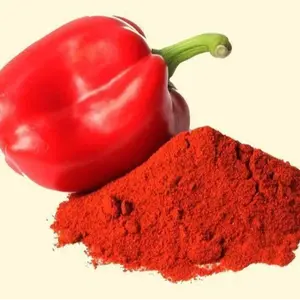 Chiti Best Price Paprika Extract Powder